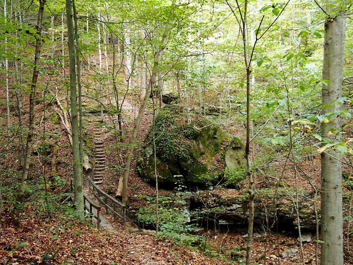 Carter Caves State Resort Park Olive Hill Εξωτερικό φωτογραφία